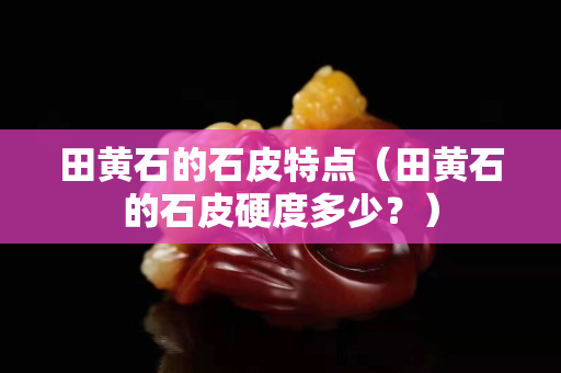 田黃石的石皮特點（田黃石的石皮硬度多少？）