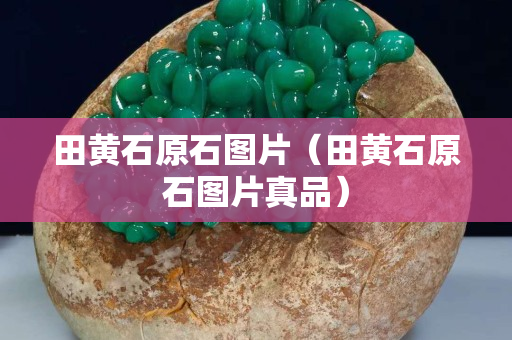 田黃石原石圖片（田黃石原石圖片真品）
