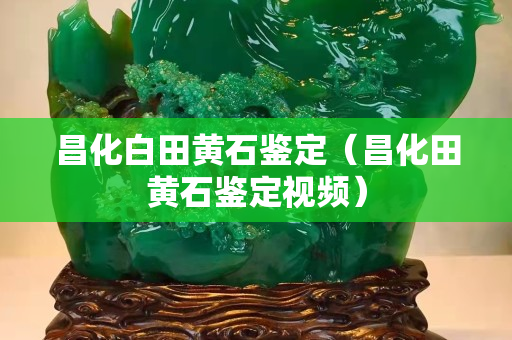 昌化白田黃石鑒定（昌化田黃石鑒定視頻）
