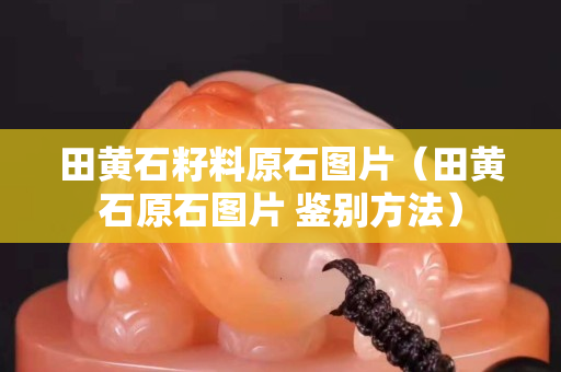 田黃石籽料原石圖片（田黃石原石圖片 鑒別方法）