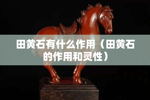 田黃石有什么作用（田黃石的作用和靈性）