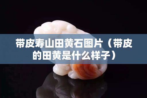 帶皮壽山田黃石圖片（帶皮的田黃是什么樣子）