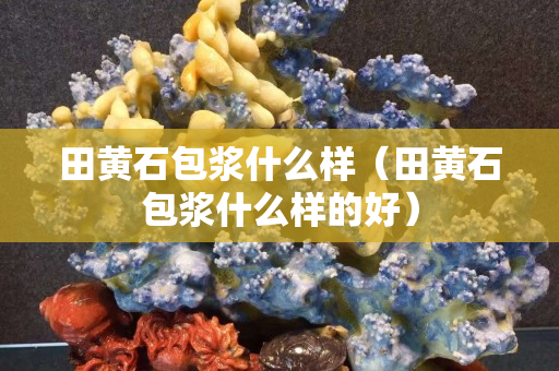 田黃石包漿什么樣（田黃石包漿什么樣的好）