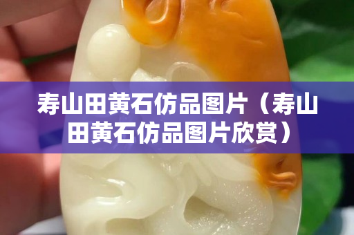 壽山田黃石仿品圖片（壽山田黃石仿品圖片欣賞）
