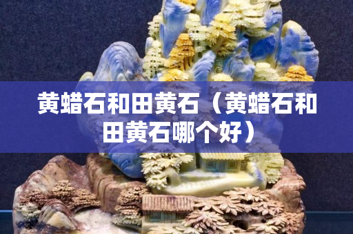 黃蠟石和田黃石（黃蠟石和田黃石哪個(gè)好）