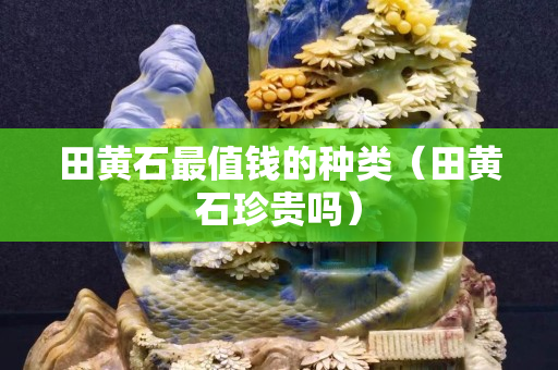 田黃石最值錢的種類（田黃石珍貴嗎）