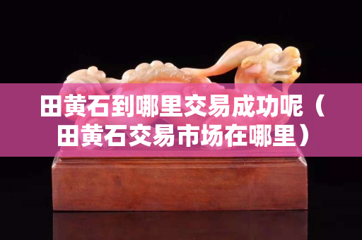 田黃石到哪里交易成功呢（田黃石交易市場在哪里）