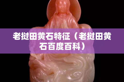老撾田黃石特征（老撾田黃石百度百科）
