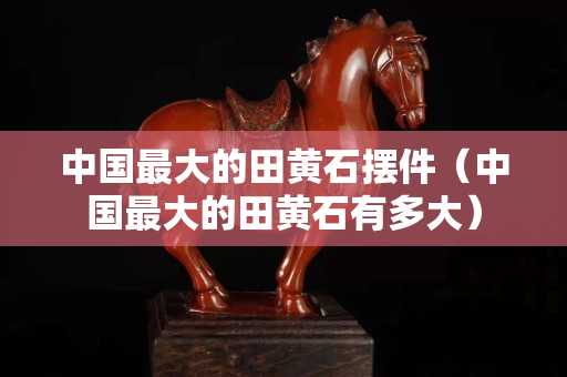 中國最大的田黃石擺件（中國最大的田黃石有多大）