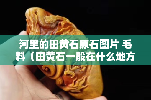 河里的田黃石原石圖片 毛料（田黃石一般在什么地方才能挖到）