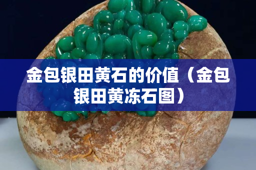 金包銀田黃石的價值（金包銀田黃凍石圖）