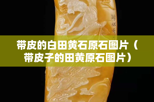 帶皮的白田黃石原石圖片（帶皮子的田黃原石圖片）