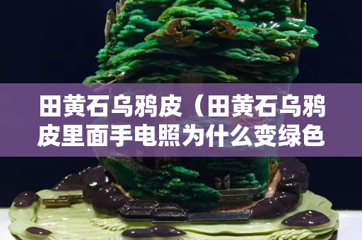 田黃石烏鴉皮（田黃石烏鴉皮里面手電照為什么變綠色）