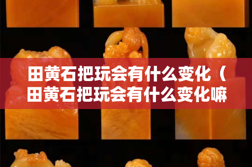 田黃石把玩會有什么變化（田黃石把玩會有什么變化嘛）
