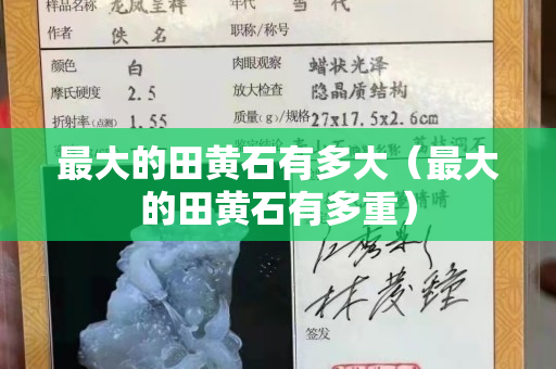 最大的田黃石有多大（最大的田黃石有多重）