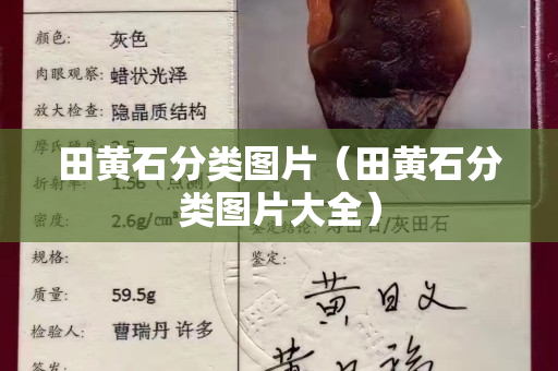 田黃石分類圖片（田黃石分類圖片大全）
