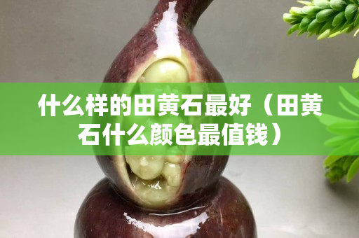 什么樣的田黃石最好（田黃石什么顏色最值錢）