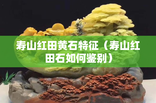 壽山紅田黃石特征（壽山紅田石如何鑒別）