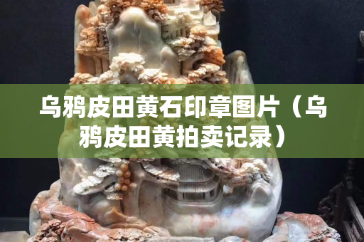 烏鴉皮田黃石印章圖片（烏鴉皮田黃拍賣記錄）
