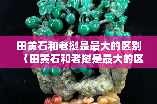 田黃石和老撾是最大的區(qū)別（田黃石和老撾是最大的區(qū)別嗎）