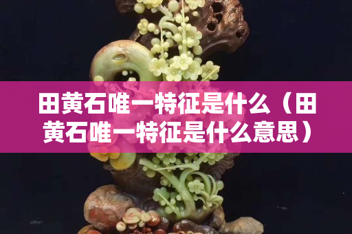 田黃石唯一特征是什么（田黃石唯一特征是什么意思）