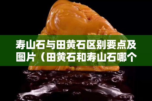 壽山石與田黃石區別要點及圖片（田黃石和壽山石哪個硬度高）