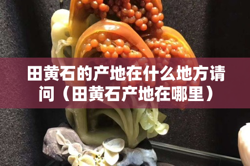 田黃石的產地在什么地方請問（田黃石產地在哪里）
