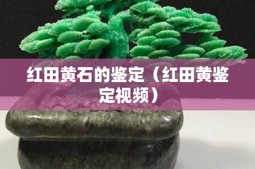 紅田黃石的鑒定（紅田黃鑒定視頻）