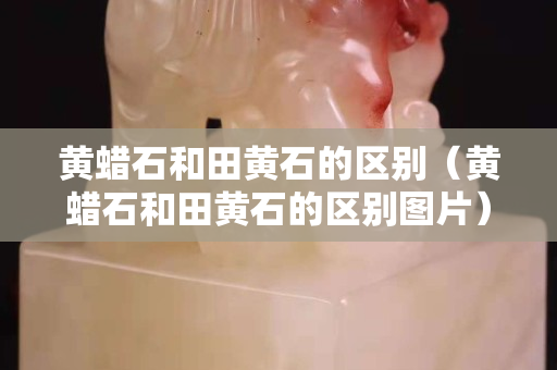 黃蠟石和田黃石的區別（黃蠟石和田黃石的區別圖片）
