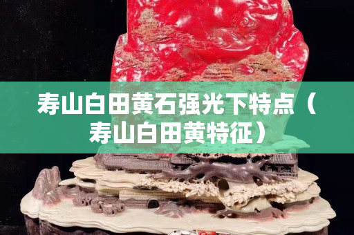 壽山白田黃石強(qiáng)光下特點(diǎn)（壽山白田黃特征）