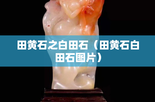 田黃石之白田石（田黃石白田石圖片）