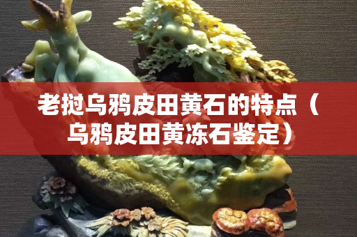 老撾烏鴉皮田黃石的特點（烏鴉皮田黃凍石鑒定）