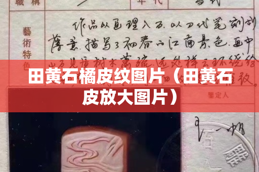 田黃石橘皮紋圖片（田黃石皮放大圖片）