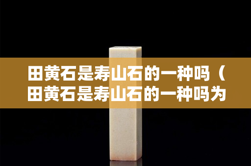 田黃石是壽山石的一種嗎（田黃石是壽山石的一種嗎為什么）