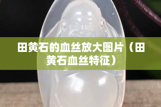田黃石的血絲放大圖片（田黃石血絲特征）