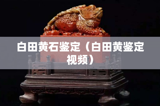 白田黃石鑒定（白田黃鑒定視頻）