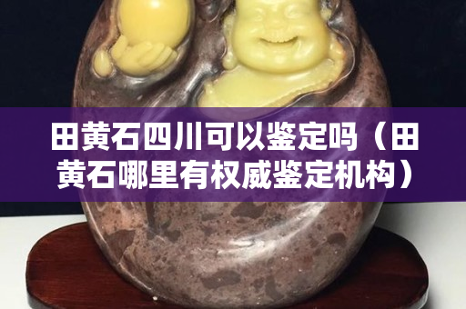 田黃石四川可以鑒定嗎（田黃石哪里有權威鑒定機構）