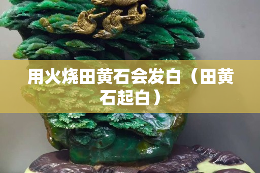 用火燒田黃石會發白（田黃石起白）