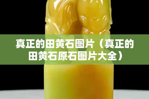 真正的田黃石圖片（真正的田黃石原石圖片大全）