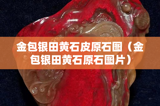金包銀田黃石皮原石圖（金包銀田黃石原石圖片）