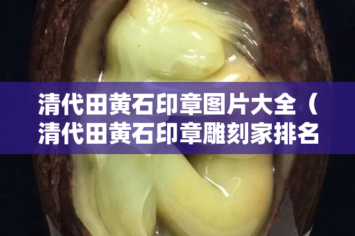 清代田黃石印章圖片大全（清代田黃石印章雕刻家排名）
