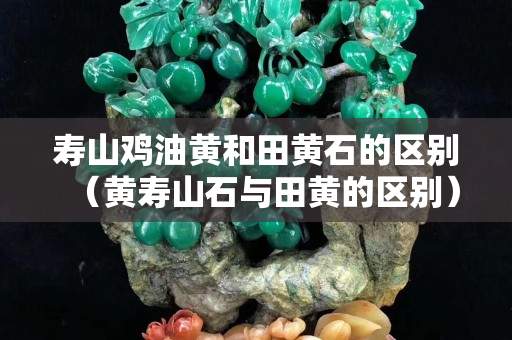 壽山雞油黃和田黃石的區別（黃壽山石與田黃的區別）