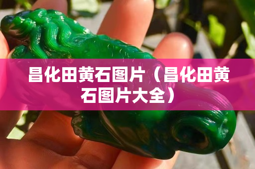 昌化田黃石圖片（昌化田黃石圖片大全）