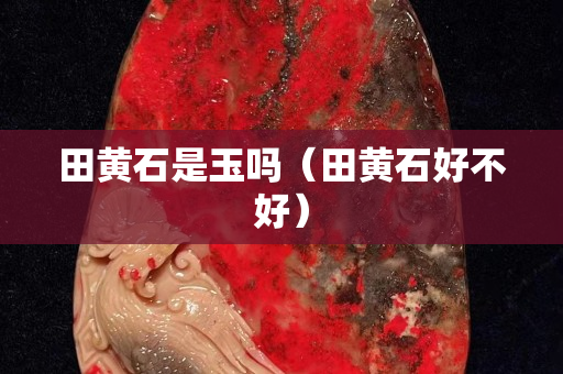 田黃石是玉嗎（田黃石好不好）
