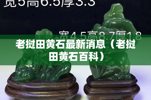 老撾田黃石最新消息（老撾田黃石百科）