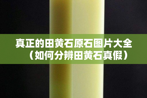 真正的田黃石原石圖片大全（如何分辨田黃石真假）