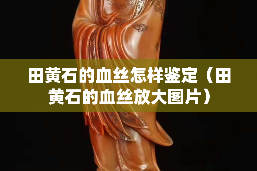田黃石的血絲怎樣鑒定（田黃石的血絲放大圖片）