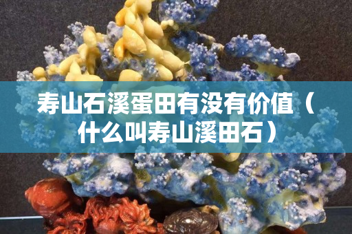 壽山石溪蛋田有沒有價值（什么叫壽山溪田石）