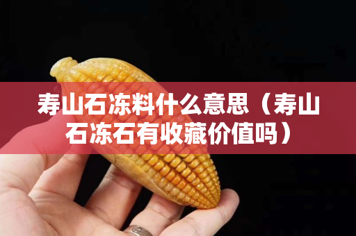 壽山石凍料什么意思（壽山石凍石有收藏價值嗎）