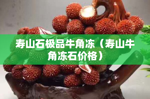 壽山石極品牛角凍（壽山牛角凍石價格）